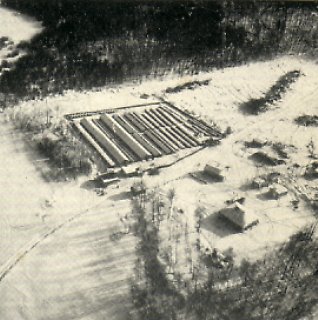 A large mink farm seen from the air.
