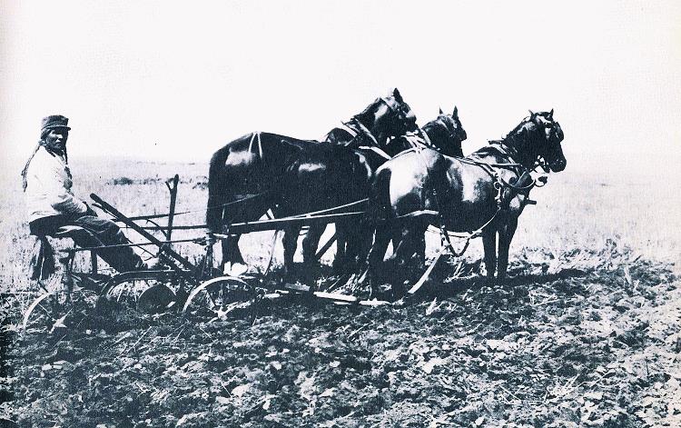 Indian ploughing on a reserve in western Canada, place and date unknown.