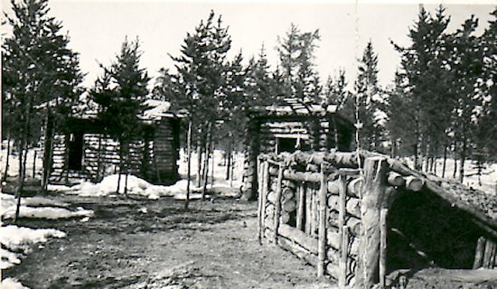 Cabin, Storehouse and Dog Kennel