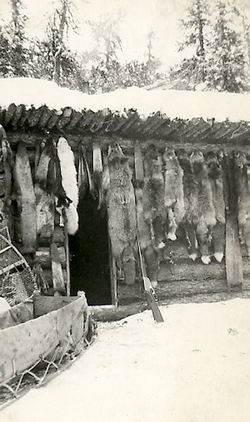 Ed's Cabin with Fox, Wolf, Otter, Marten and Mink Pelts