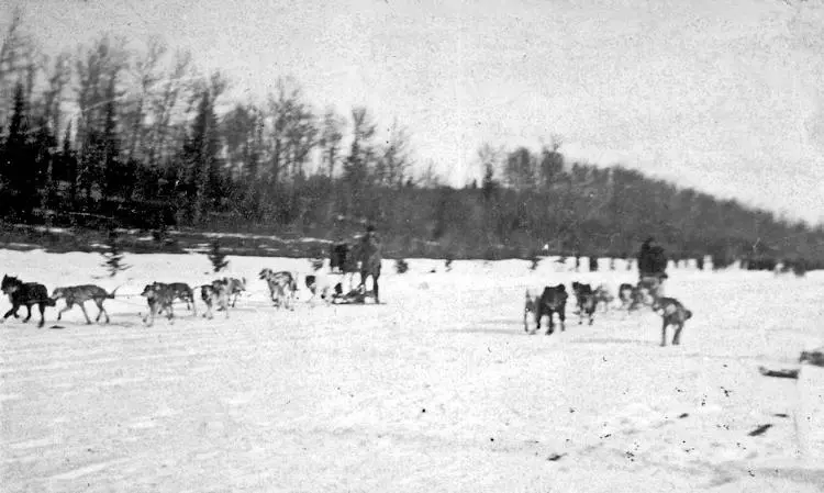 Dog derby on Saskatchewan River.