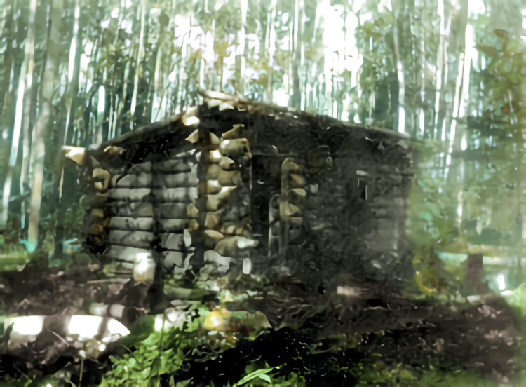 William A. A. Jay's trapping cabin.