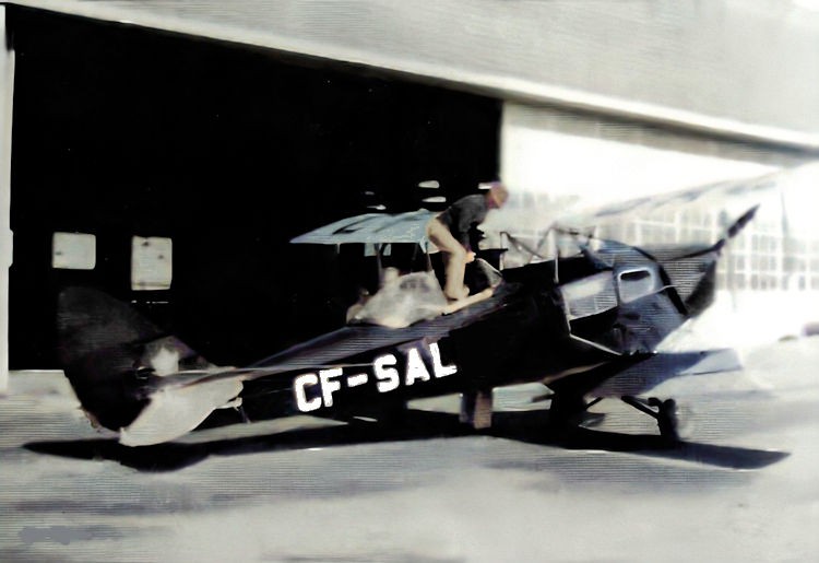 CF-SAL Fox Moth.