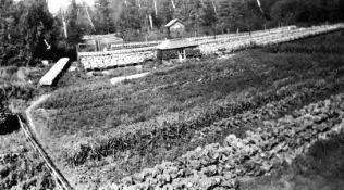 Mink Ranch early 1940s.
