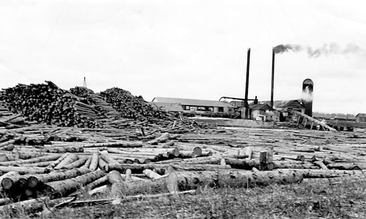 The sawmill in Crooked River, Saskatchewan after expansion.