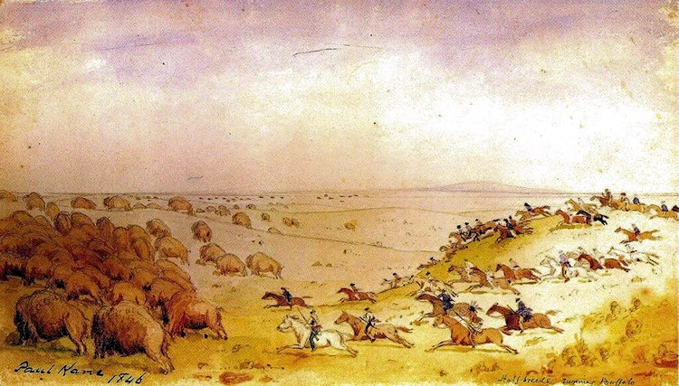 Buffalo Hunt by Paul Kane.