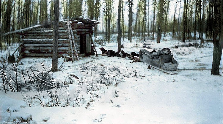 Little Deer River trapping cabin.