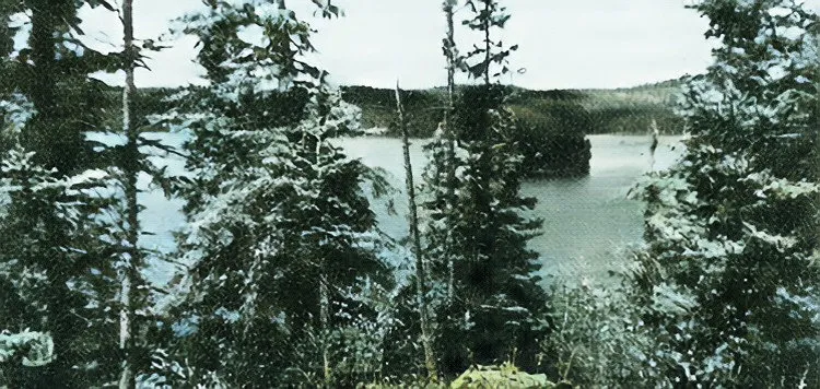 Eureka diggings on jack pine ridge above Meyer Bay.