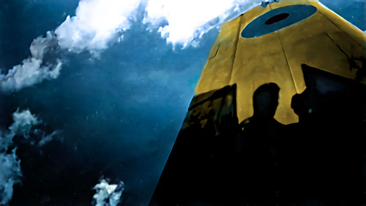 Shadow on Lefty's wing.