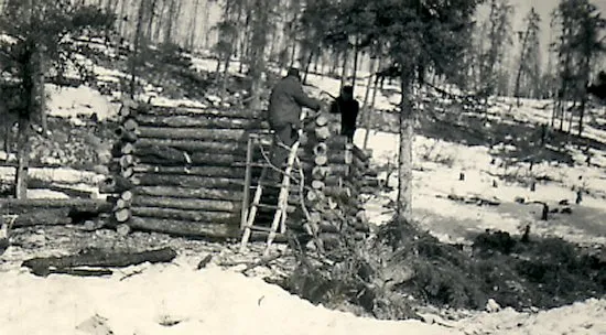Fred and Ed building a new log cabin.