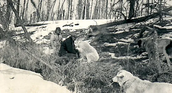 Ed Theriau and Fred Darbyshire with their dogs