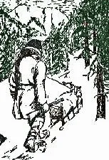 Trapper with dog team.