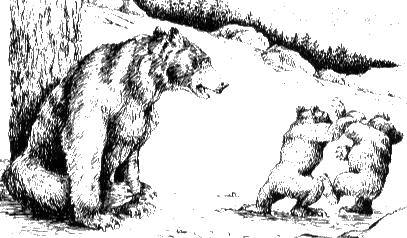 Black Bear and Cubs.