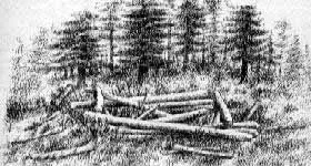 Fallen Cabin.