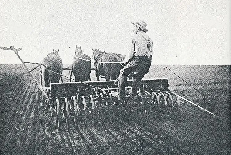 Horse-drawn seed drill.