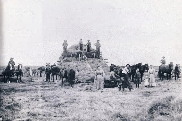 Haying, place and date unknown.