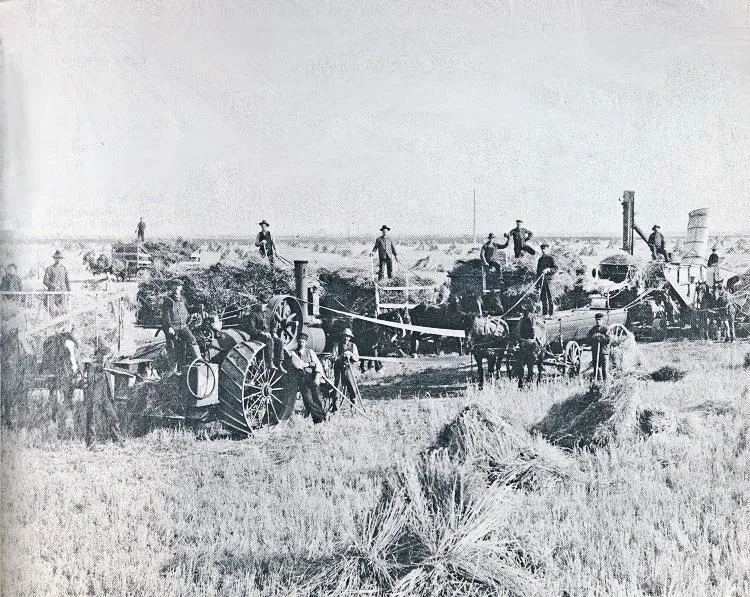 Thrashing on the farm.