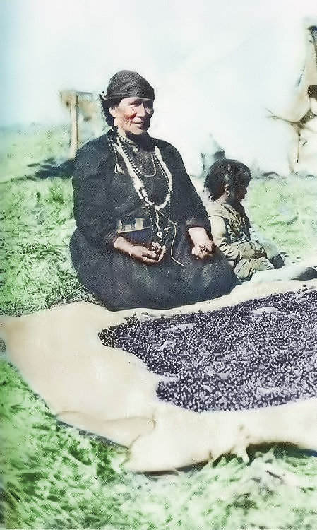 Indian woman drying saskatoon berries.
