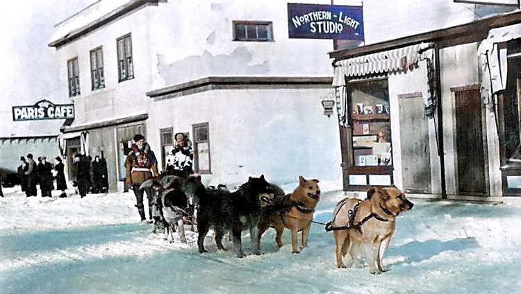 Leland Abbott's dog team
